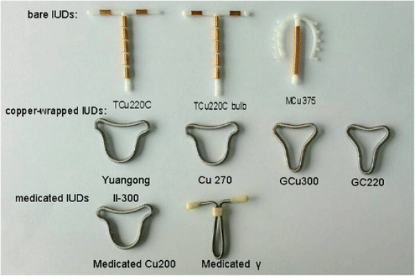 انواع اللولب بالصور