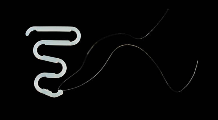 انواع اللولب بالتفصيل