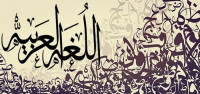 ما الفرق بين من الشرطية وما الشرطية