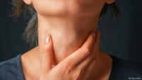 كم عدد الحبال الصوتية عند الانسان               