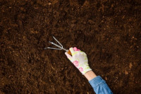 تهوية التربة وزيادة خصوبتها تهوية التربة وزيادة خصوبتها