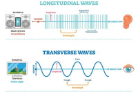 الفرق بين الموجات الطولية والمستعرضة