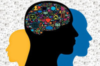 أنواع الغرائز الإنسانية أنواع الغرائز الإنسانية