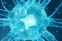 كيف نحافظ على الجهاز العصبي