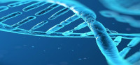ما هو الجينوم البشري وأهميته