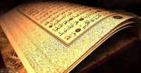 أحكام المرأة في سورة النساء أحكام المرأة في سورة النساء