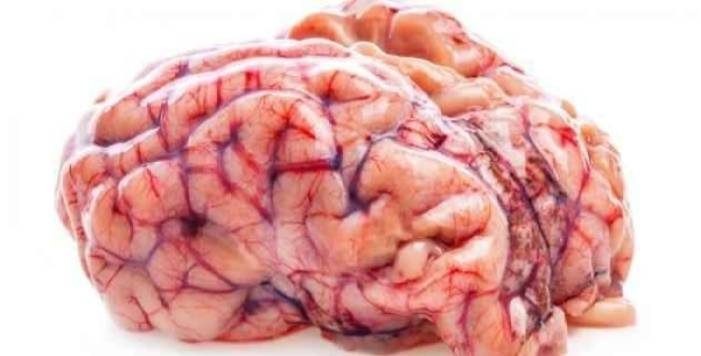 أضرار أكل مخ الغنم