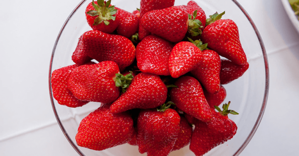 انواع الفراولة واسمائها بالصور