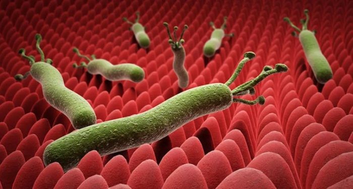 ممنوعات جرثومة المعدة ممنوعات جرثومة المعدة