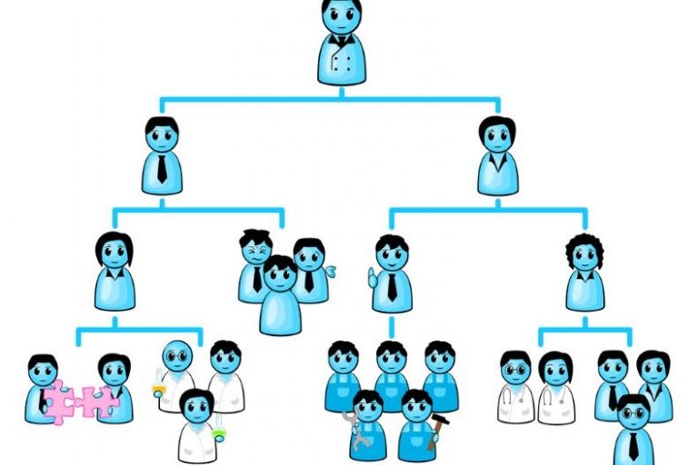 تعريف الهيكل التنظيمي