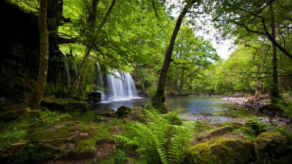 ما هو المناخ المداري