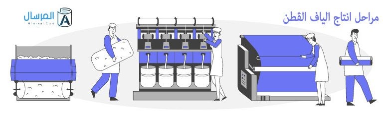 مراحل انتاج الياف القطن