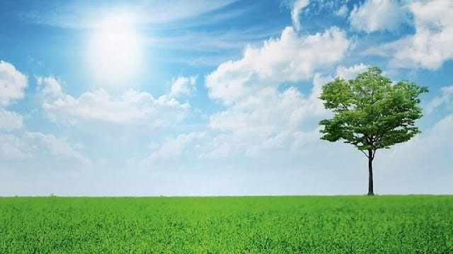 بحث علمي عن البيئة