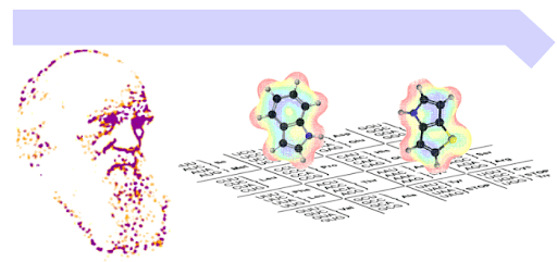 اهم العناصر الكيميائية في جسم الإنسان