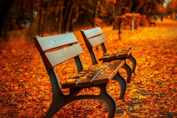 مميزات فصل الخريف مميزات فصل الخريف