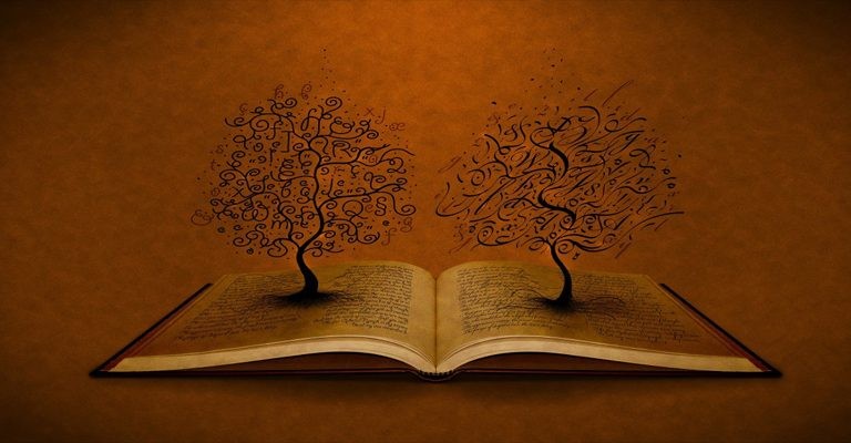 شرح الفعل المجرد والمزيد مع الأمثلة