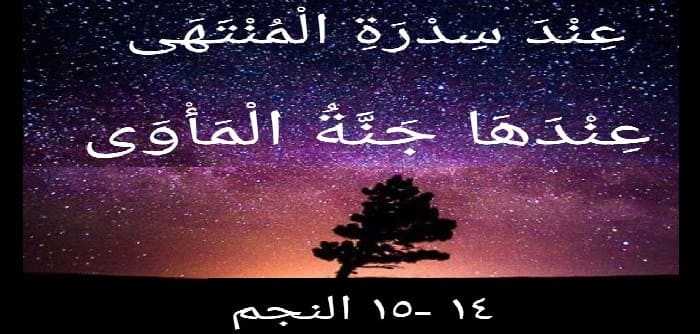 الفرق بين المثوى والمأوى الفرق بين المثوى والمأوى