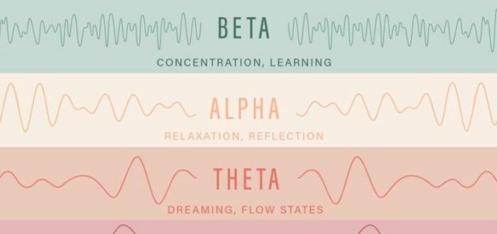 انواع موجات الدماغ بيتا . الفا . ثيتا. ودلتا