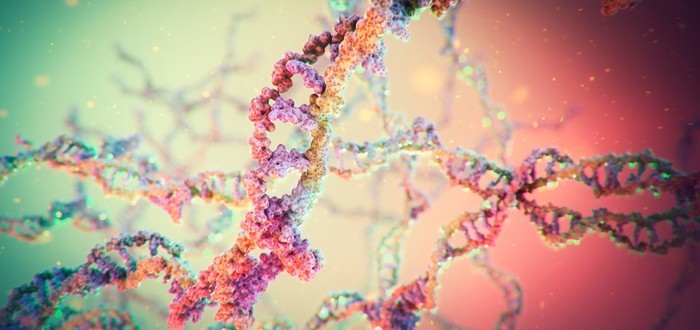 انواع ووظائف الاحماض النووية