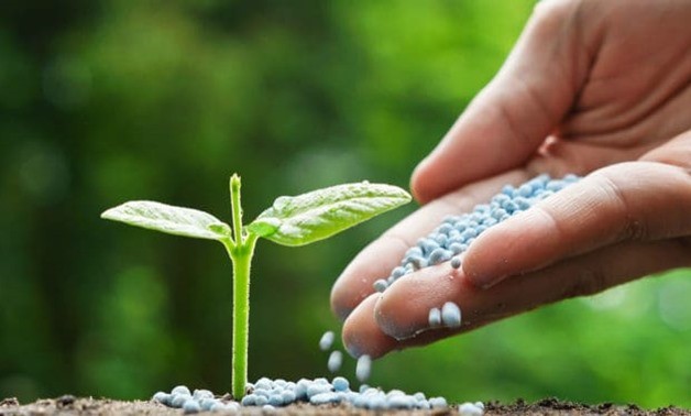 أهمية النيتروجين للكائنات الحية