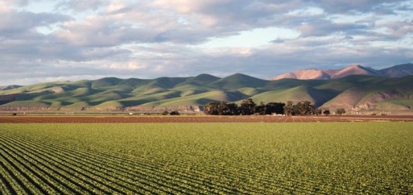 ما هي الزراعة المستدامة