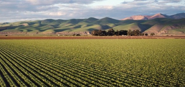 مقومات التنمية الزراعية