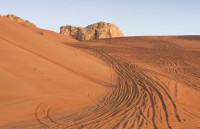 اشهر الممالك التي انشاها العرب في جنوب الجزيره العربيه اشهر الممالك التي انشاها العرب في جنوب الجزيره العربيه