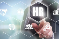 ما هي طبيعة عمل الـ HR ما هي طبيعة عمل الـ HR