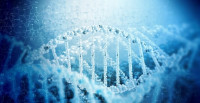 ما هي وظيفة DNA ما هي وظيفة DNA