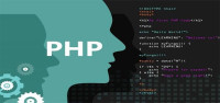 ماهي لغة php