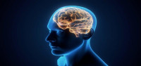 عادات تدمر المخ
