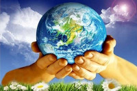 العوامل المؤثرة على الاتزان البيئي