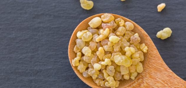 فوائد لبان الذكر و أضراره