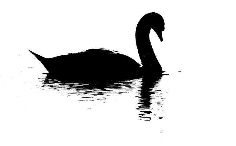 نظرية البجعة السوداء