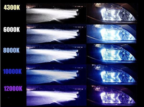 معلومات عن عنصر الزينون