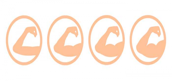 بروتين الميوستاتين