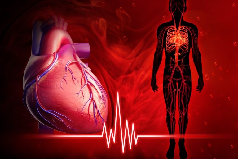 كيف يمكن تنشيط الدورة الدموية