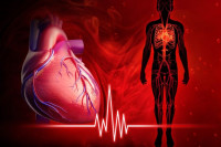 كيف يمكن تنشيط الدورة الدموية كيف يمكن تنشيط الدورة الدموية