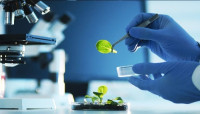 تخصص التكنولوجيا الحيوية تخصص التكنولوجيا الحيوية