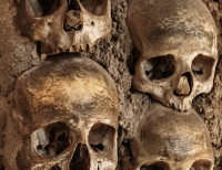 حقيقة طاعون عمواس حقيقة طاعون عمواس