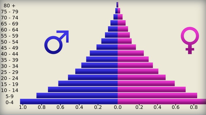 مفهوم هرم الاعمار