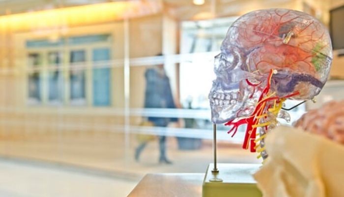 تعريف عقلية النمو