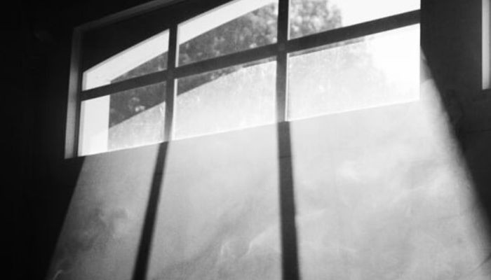 اشهر الاحتيالات في القرن التاسع عشر