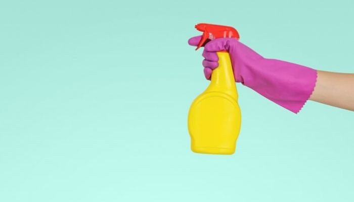 هل الديتول يقتل البراغيث