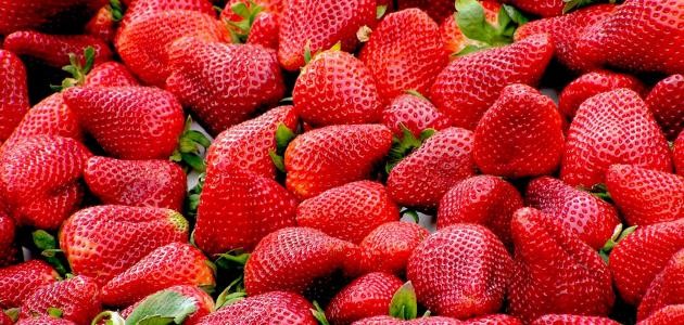 كيفية تجميد الفراولة كيفية تجميد الفراولة