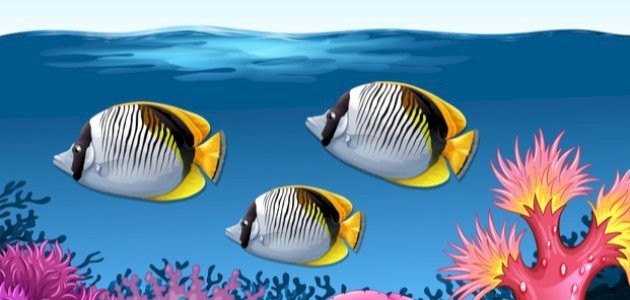 قصة السمكات الثلاث قصة السمكات الثلاث