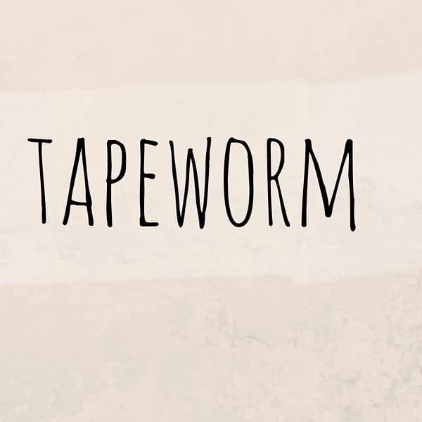 ما هي الدودة الشريطية