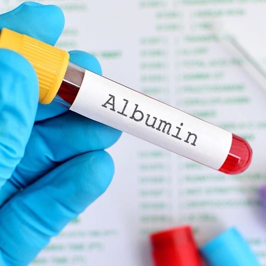 ما هو الزلال