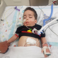 مرض نيمان بيك .. أنواعه وأعراضه والتشخيص والعلاج مرض نيمان بيك .. أنواعه وأعراضه والتشخيص والعلاج