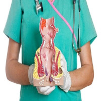 علاج البواسير بالاعشاب